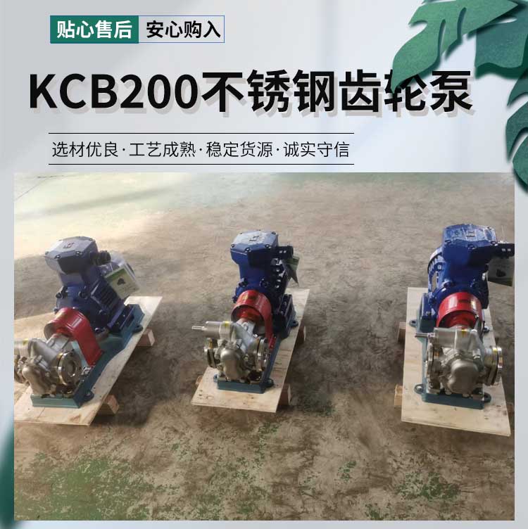 <strong>KCB200不锈钢齿轮泵</strong>