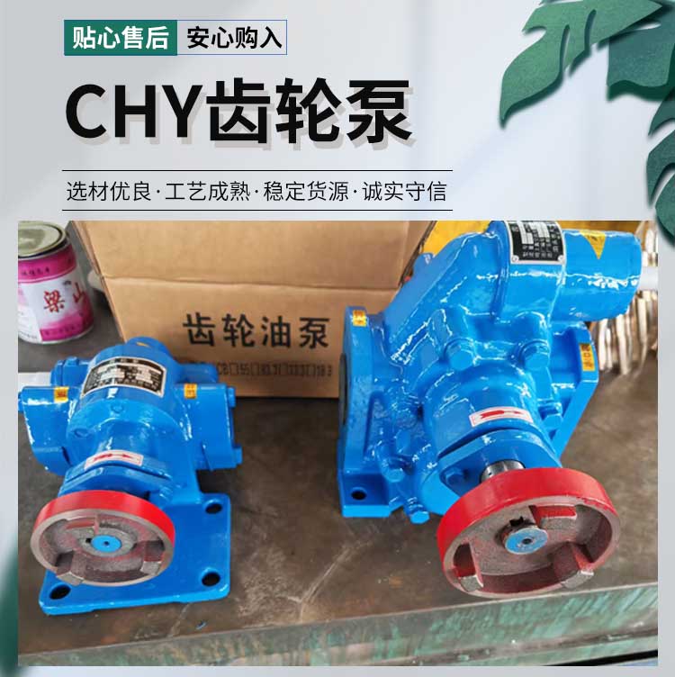 C<strong>HY齿轮泵</strong>