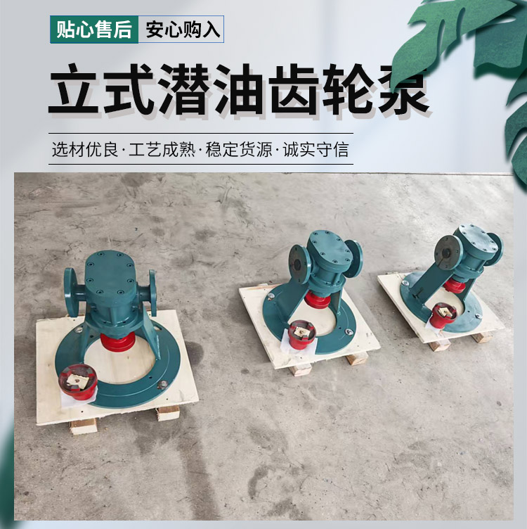 <strong>立式潜油齿轮泵</strong>