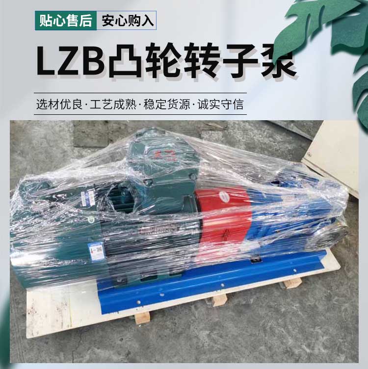LZB凸轮转子泵