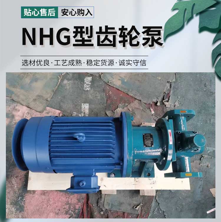 齿轮泵