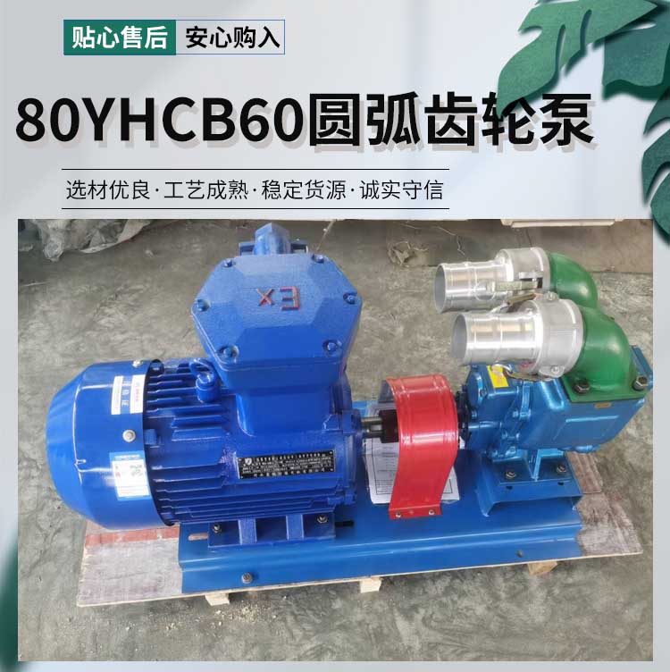 80YHCB60圆弧齿轮泵