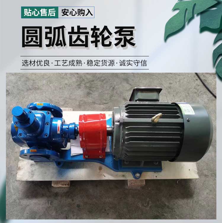 圆弧齿轮泵
